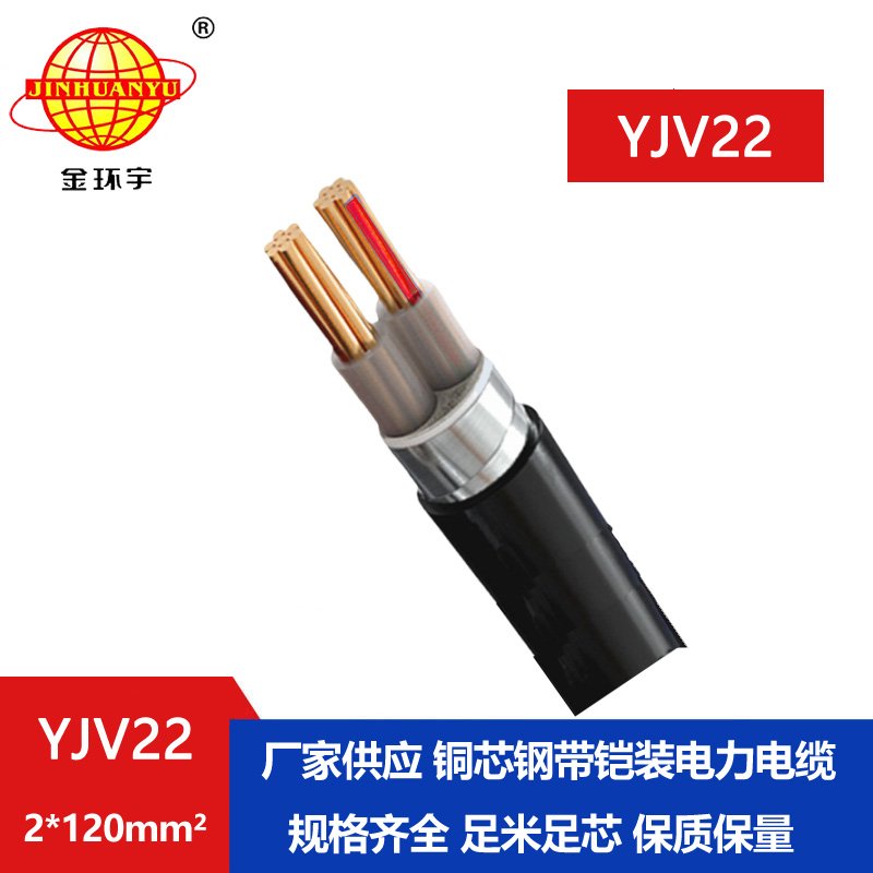 金環(huán)宇電線(xiàn)電纜 中低壓電纜YJV22 2X120平方 銅芯鎧